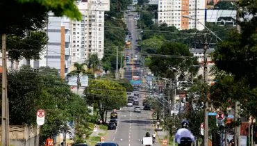 Imagem mostra uma avenida de Curitiba com muitas árvores e pessoas circulando.