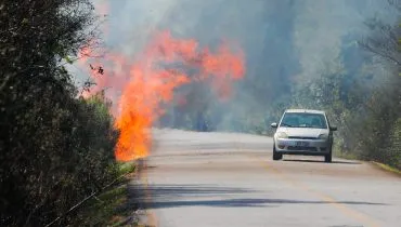 Chama alta em área de vegetação ao lado da Estrada do Zoológico, no bairro Boqueirão, em Curitiba.