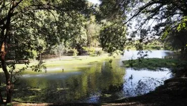 Imagem mostra um lago com uma fonte bem no meio e árvores no entorno.