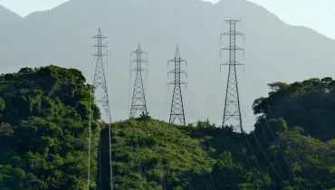 imagem mostra quatro torres de transmissão lado a lado num meio da mata