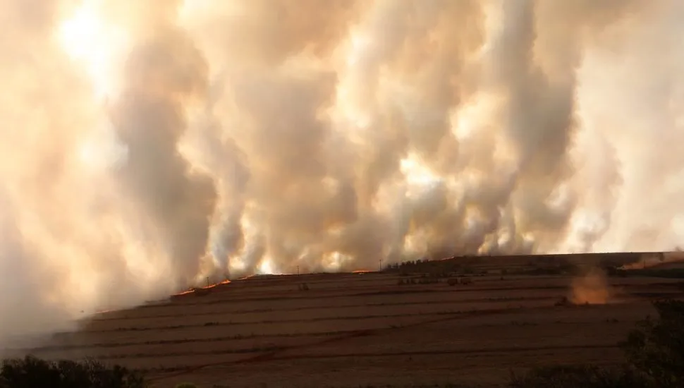 Imagem mostra queimada em vegetação no Paraná.