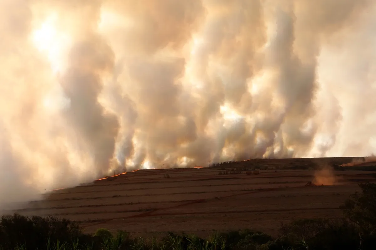 Imagem mostra queimada em vegetação no Paraná.