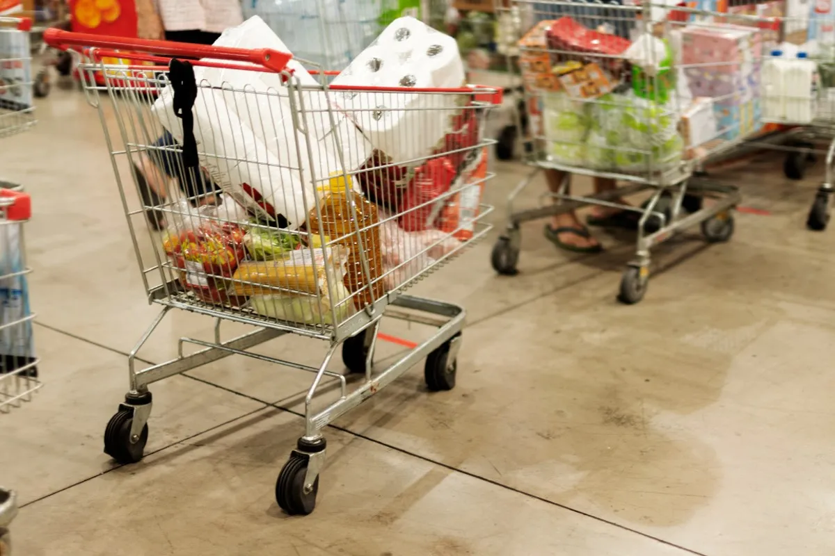 Na imagem, carrinhos com alimentos e outros produtos, dentro de um supermercado.