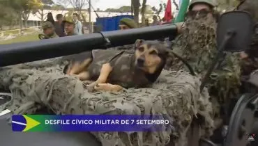 Desfile Cívico Militar em Curitiba