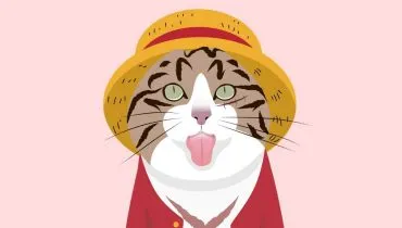 10 nomes para gatos inspirados em One Piece