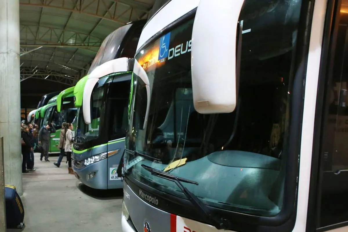 Imagem mostra ônibus estacionados em lado a lado na rodoviária de Curitiba