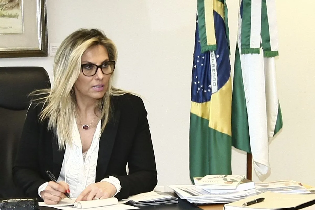 Na imagem, Cida Borghetti, sentada ao lado de bandeiras do Brasil e do Paraná.