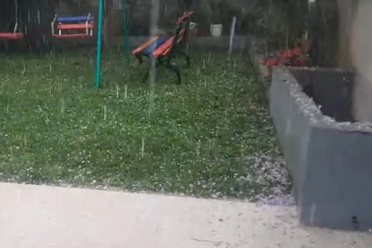 Na imagem, chuva de granizo em um jardim.