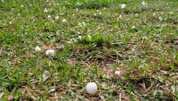 Granizo em Curitiba! Previsão do tempo tem alerta de tempestade!