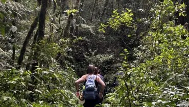 Na imagem, pessoas fazem trilha na natureza.