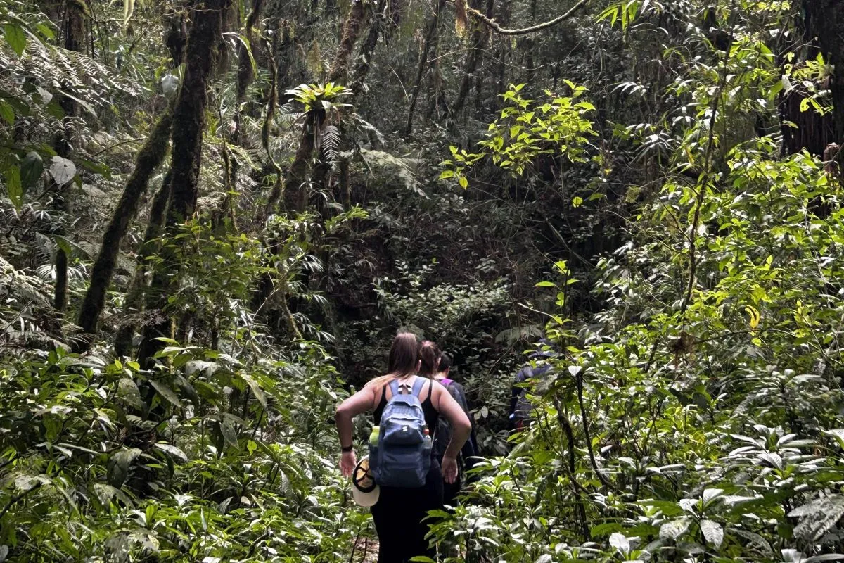 Na imagem, pessoas fazem trilha na natureza.