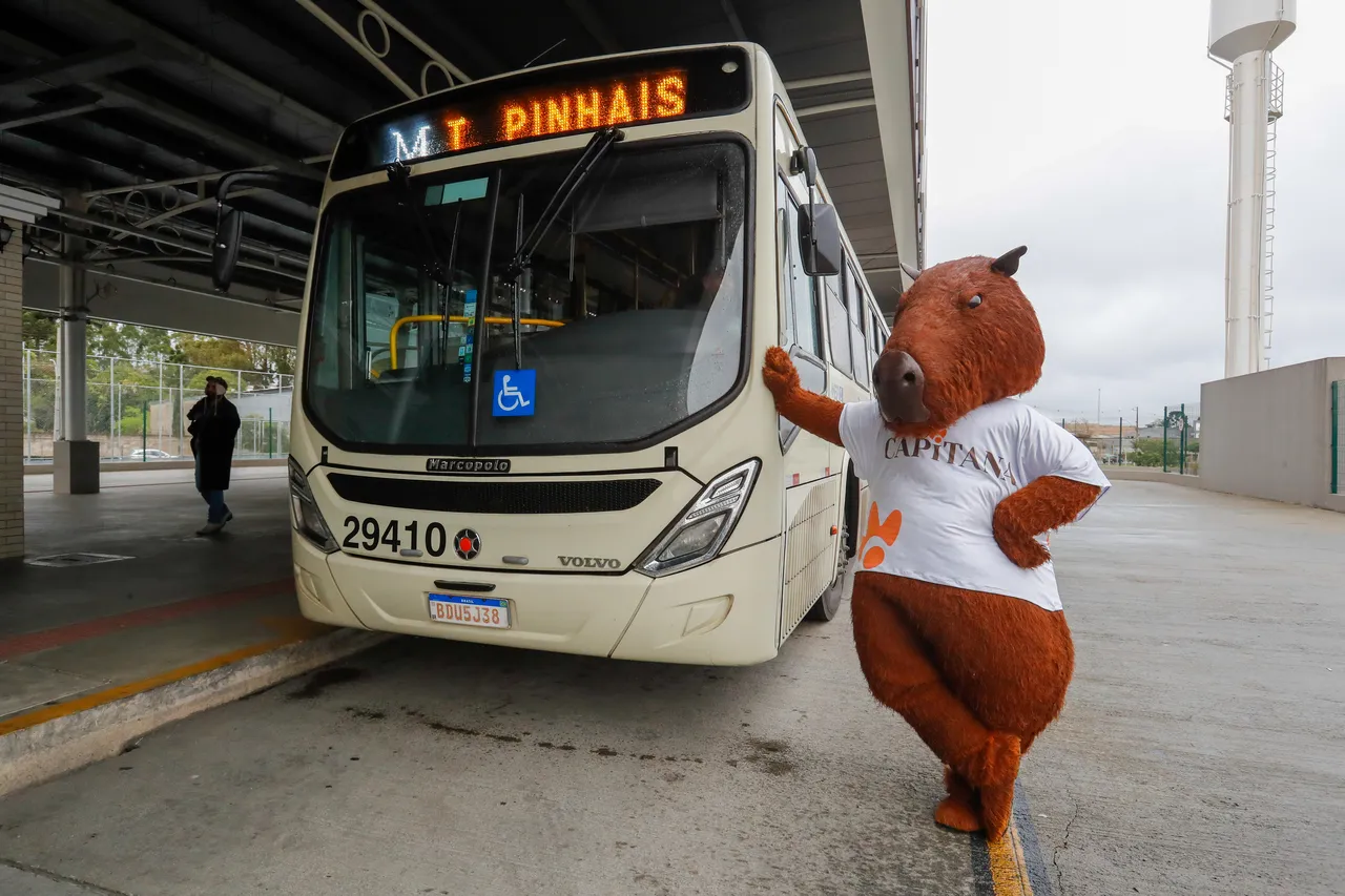 magem mostra a mascote da Metrocard, Capita