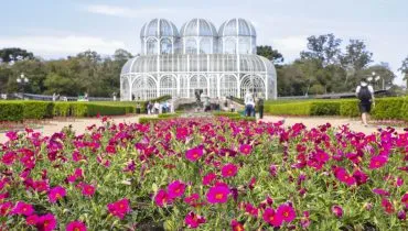 Na imagem, jardim com flores cor-de-rosa. Ao fundo, a estufa do Jardim Botânico de Curitiba.