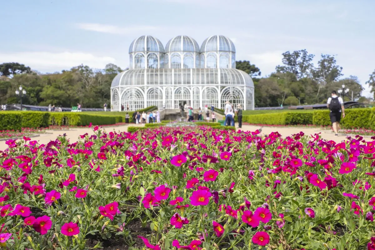 Na imagem, jardim com flores cor-de-rosa. Ao fundo, a estufa do Jardim Botânico de Curitiba.