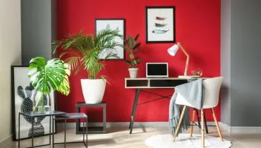 5 dicas de Feng Shui para melhorar a energia da casa na primavera