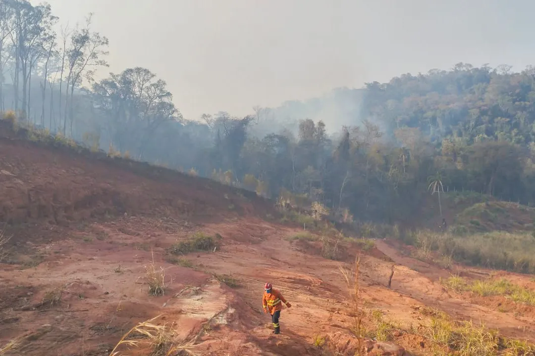 Imagem mostra um campo todo queimado com um bombeiro caminhando em uma área queimada,