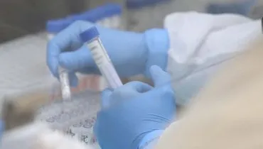 2 mil exames gratuitos de DNA estão disponíveis no Paraná