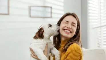 Veja as responsabilidades de quem tem um animal de estimação