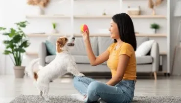 7 benefícios do reforço positivo para o cachorro 