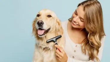 7 cuidados com cachorro de pelo longo 