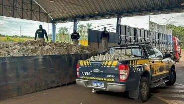 Com 203 toneladas, Paraná bate recorde na apreensão de drogas