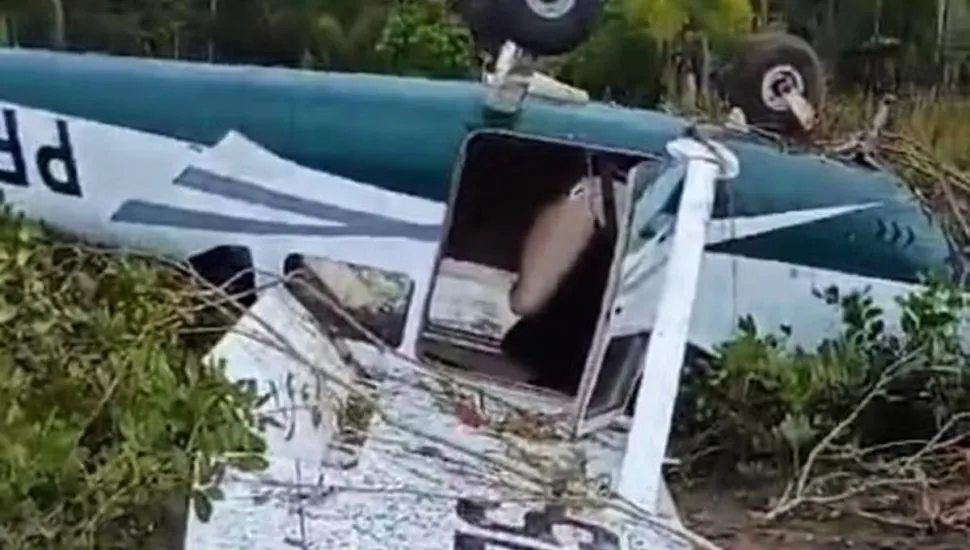 Imagem mostra um pequeno avião branco e verde capotado em uma área de mata