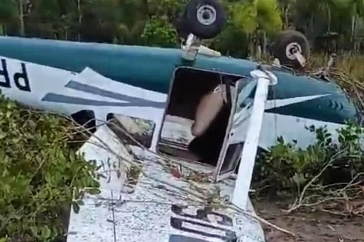 Imagem mostra um pequeno avião branco e verde capotado em uma área de mata