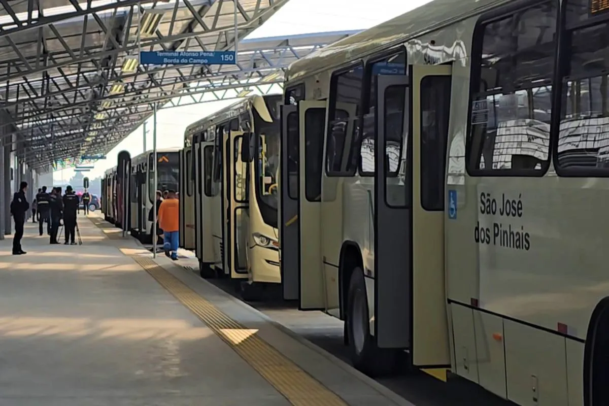 Imagem mostra ônibus beges estacionados em um terminal