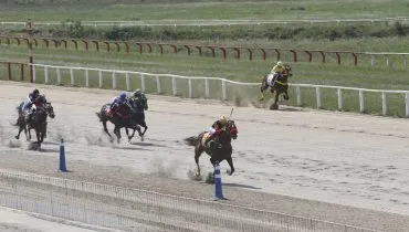 Jockey Club promove corrida de cavalos neste fim de semana; entrada é gratuita