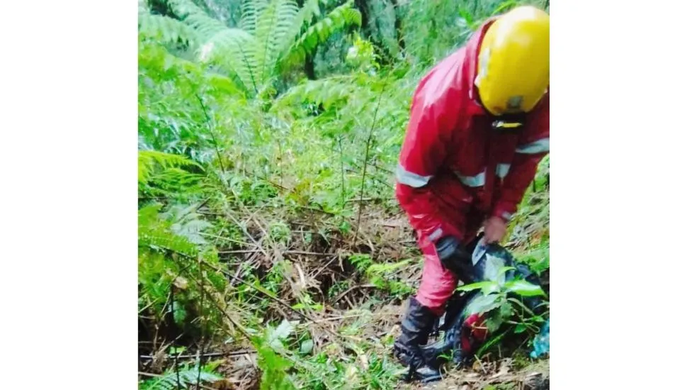 Imagem mostra um bombeiro descendo um morro com ajuda de cordas.