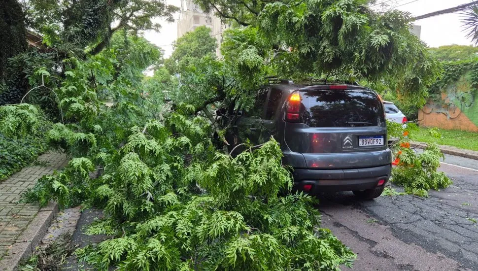 Galho grande de árvore cai sobre carro no bairro Cristo Rei, em Curitiba.