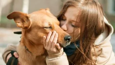 8 dicas para fortalecer o vínculo com o cachorro 