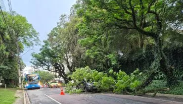 Queda de galho grande de árvore na Avenida Souza Naves, em Curitiba, provocou acidente e atingiu um carro.