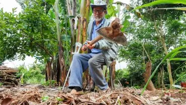 Idoso transforma terreno em bairro de Curitiba numa horta modelo: 