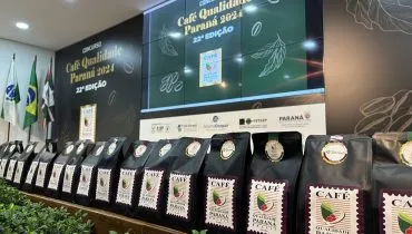 Mulheres conquistam mercado de cafés especiais no Paraná