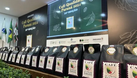 Mulheres conquistam mercado de cafés especiais no Paraná