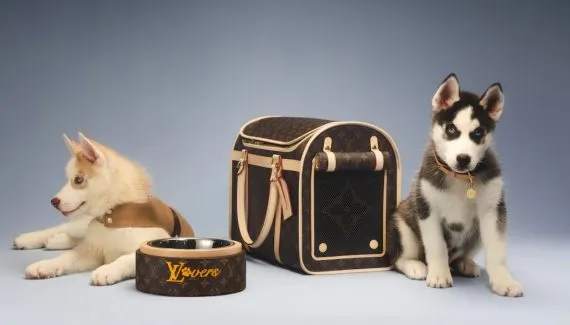 Grife Louis Vuitton lança casinha de cachorro a preço surreal