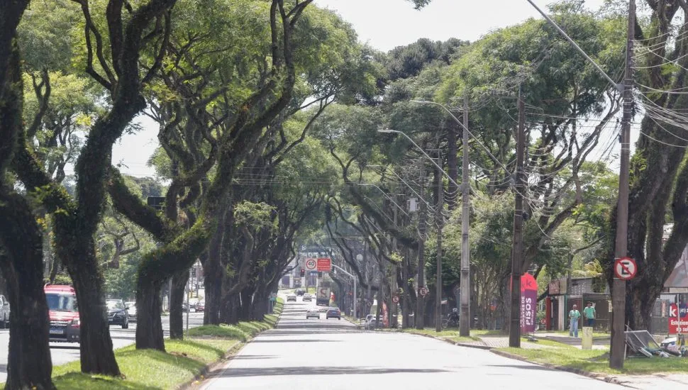 Avenida Victor Ferreira do Amaral, em Curitiba.