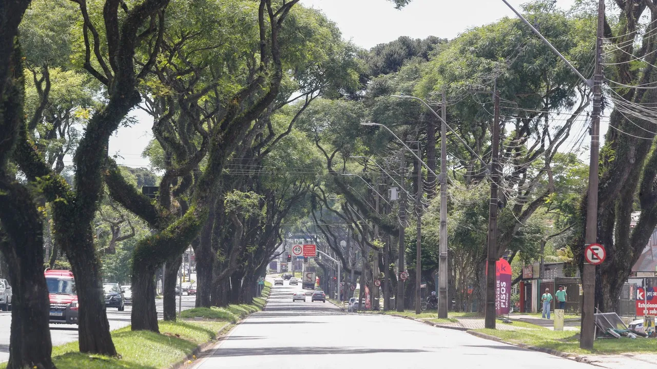 Avenida Victor Ferreira do Amaral, em Curitiba.