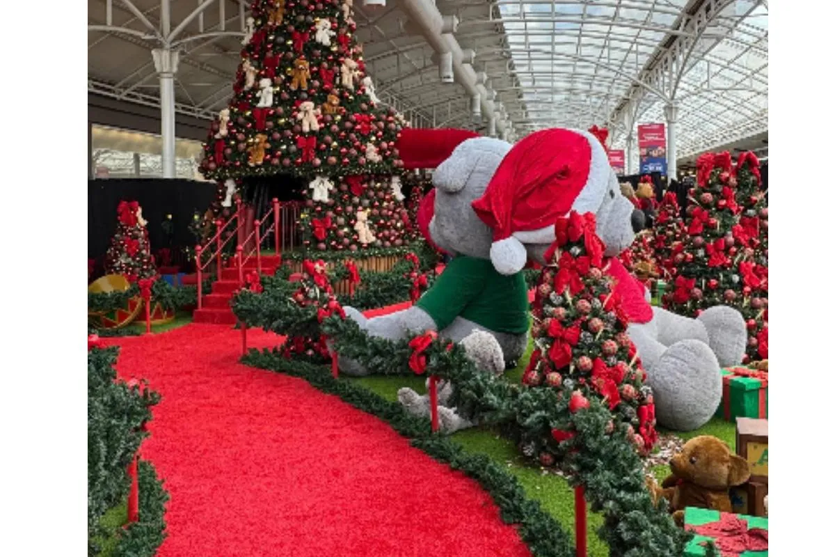 Imagem mostra uma decoração de Natal