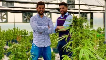 Cannabis medicinal vira clube de compras lucrativo em Curitiba