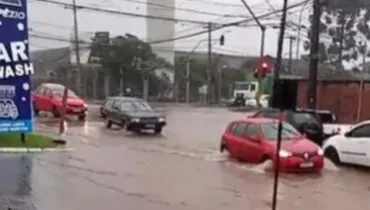 Chuvarada provoca alagamentos e quedas de árvore por Curitiba