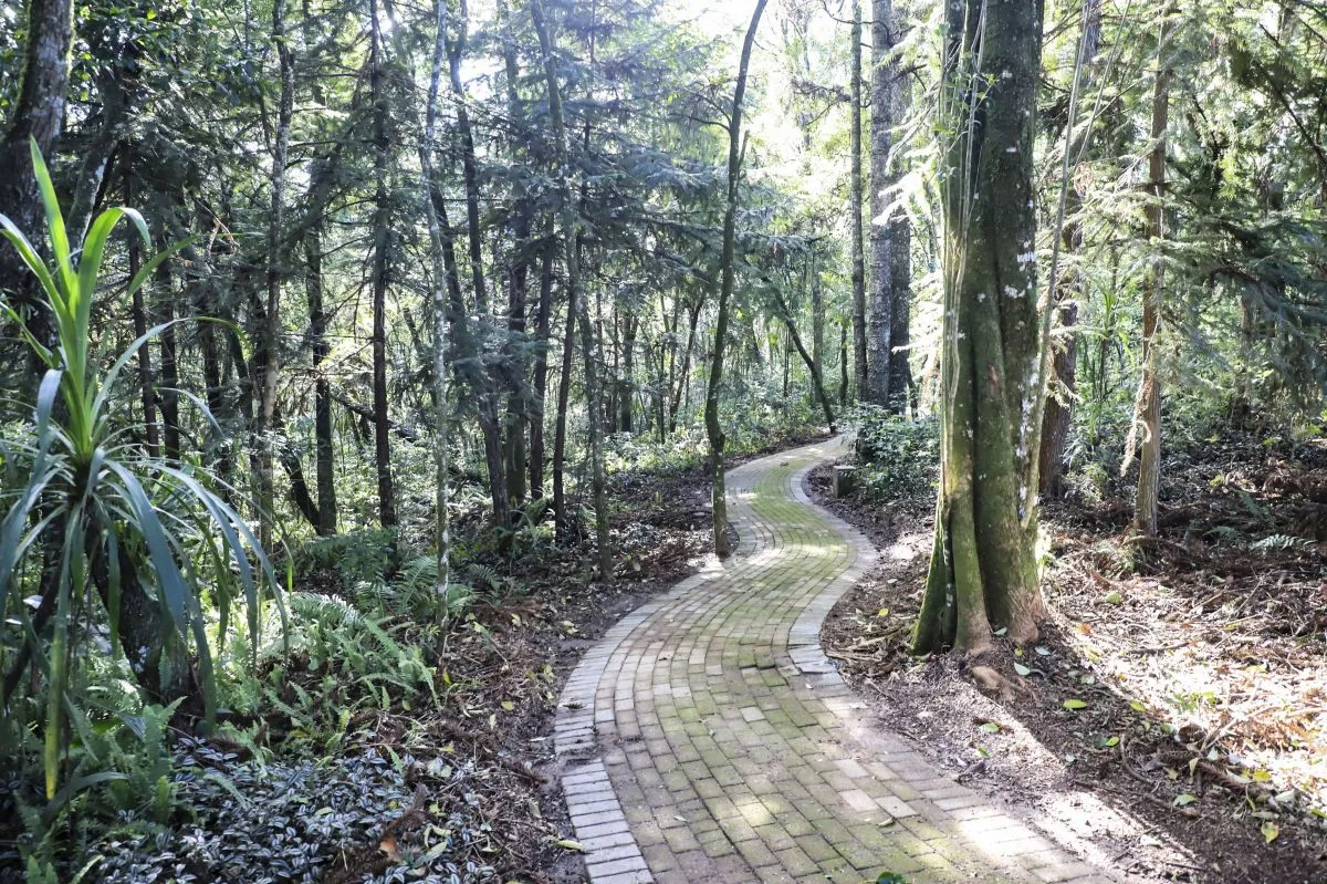 Trilha do novo Parque São Francisco de Assis