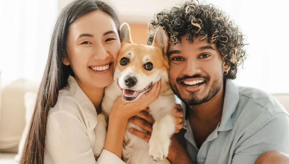 A equipe de médicos veterinários do Hospital Veterinário Santa Mônica está pronta para agir rapidamente em emergências