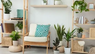 7 plantas para ter em apartamento