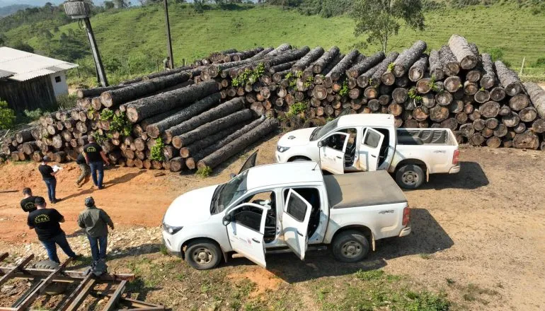 Desmatamento da Mata Atlântica gera R$ 124 milhões em multas no Paraná