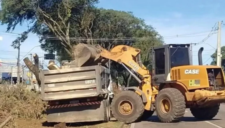 Imagem mostra um trator arrancando uma árvore em Curitiba.