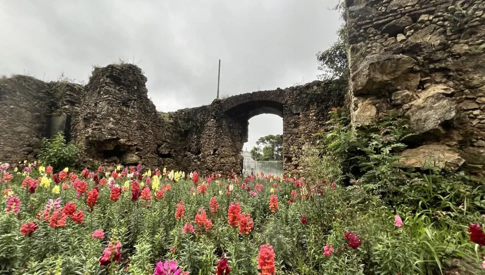 Ruínas de São Francisco, em Curitiba.