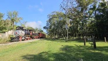 Carnaval no litoral do Paraná terá passeio de trem com música ao vivo e chope