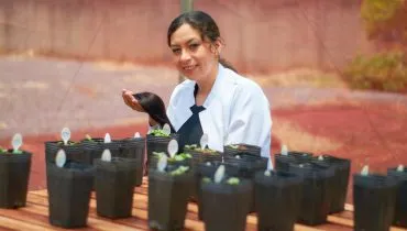 Pesquisadora do Paraná quer usar cabelo humano em plantações; entenda